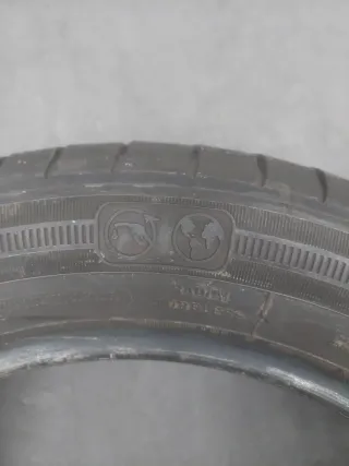 Neumático Goodyear EfficientGrip 205/55 R16 91V