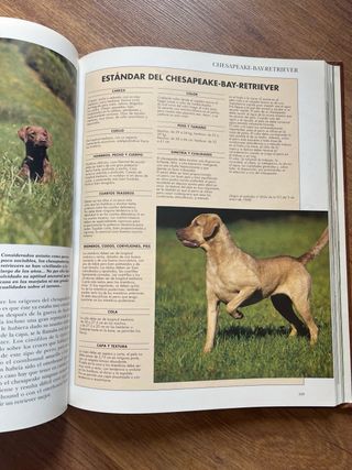 COLECCION ENCICLOPEDIA PERROS