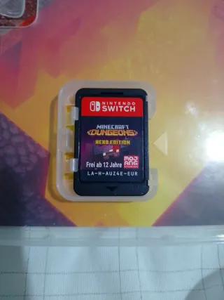 Minecraft Dungeons Hero Edition Nintendo Switch