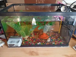 Acuario pequeño con accesorios altura 21. Ancho 2o