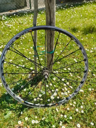 Bici da Corsa in Carbonio