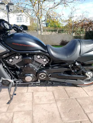Harley Davidson Night Rod Special Negra