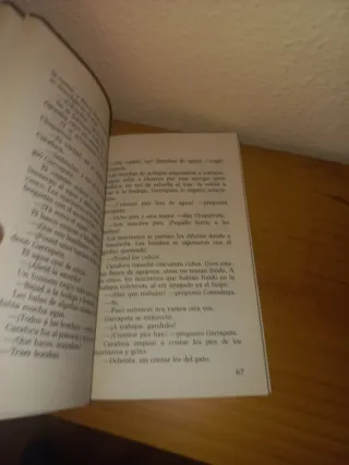 El Pirata Garrapata Libro