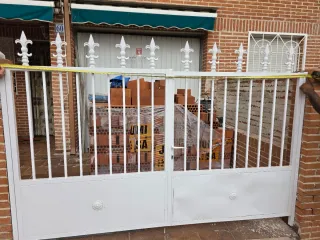 Reja y puerta de carruaje y principal