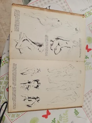 Libro El Dibujo