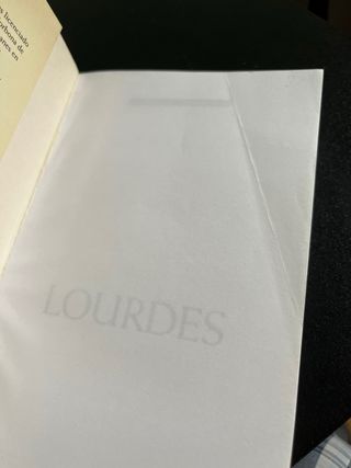 Lourdes: Cronica de un Misterio