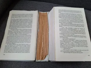 Harry Potter y la Orden del Fénix (Harry Potter...