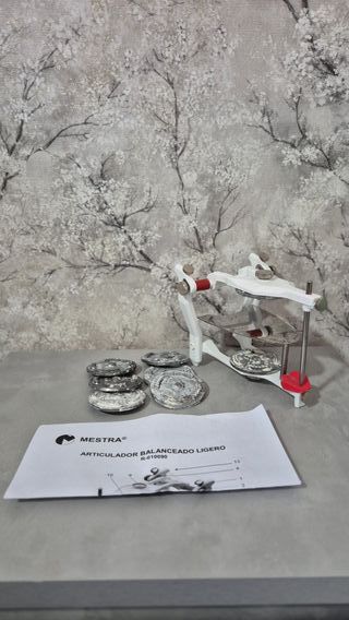 Articulador + 10 discos carburo