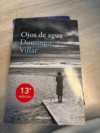Ojos de agua (Inspector Leo Caldas 1) (Spanish Edition)