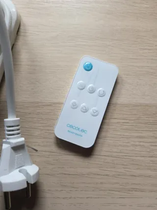 Calefactor Cecotec con Mando