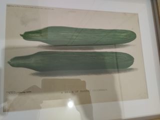 Lote 4 Litografías Inglesas Marco Antiguo 1901
