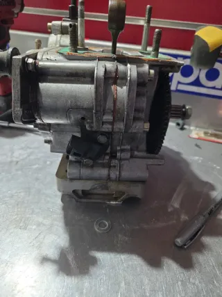 Bloque motor Rotax Max