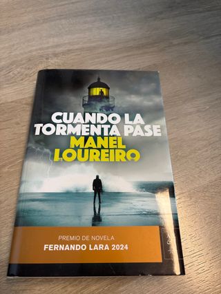 Cuando la tormenta pase: Premio de Novela Ferna...