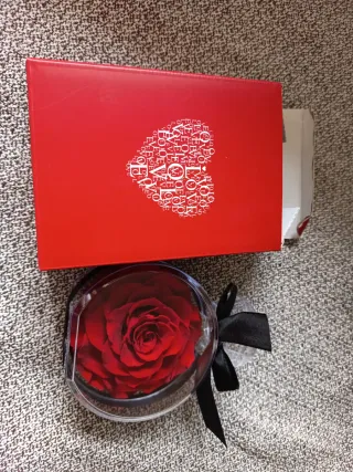Flor Roja Preservada Caja Corazón