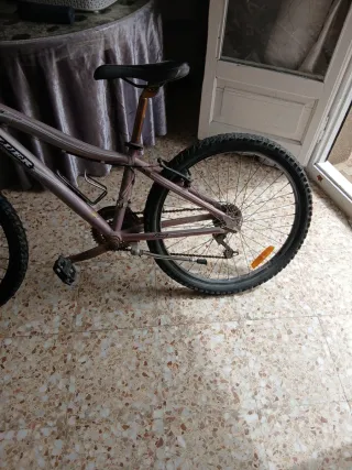 Bicicleta Coluer Lucy 2400