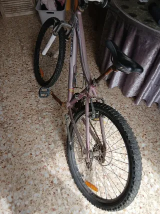 Bicicleta Coluer Lucy 2400