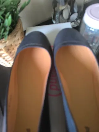 Bailarinas Graceland Azul Marino Talla 38