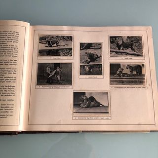 Álbum de fotos holandés 1932
