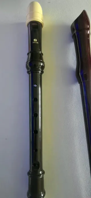 Flauta Hohner de madera + regalo otra flauta