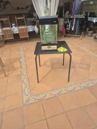 Terrario con luz