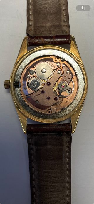 Orologio WanWit Oro 18kt 17 Rubini Data