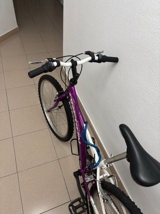 Bicicleta BH Orbea