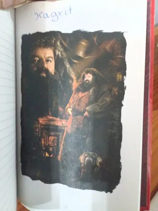 Lote Harry Potter