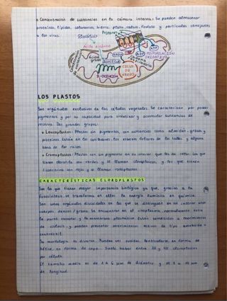 Apuntes Biología 2Bach