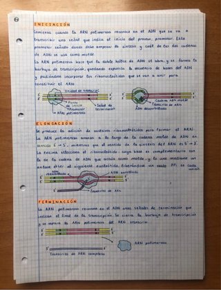 Apuntes Biología 2Bach