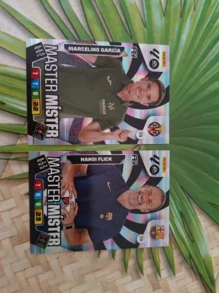 Adrenalyn XL 2025-2026 Máster Míster