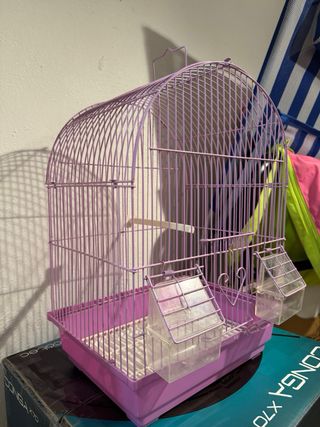 Jaula para pájaros morada