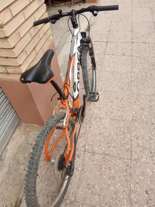 Bicicleta Orbea Tuareg