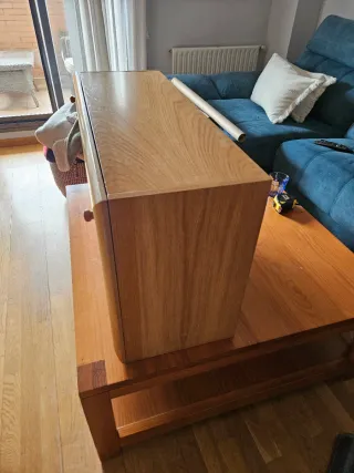 Mueble bar de roble con puerta abatible