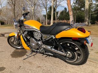 Harley-Davidson Street Rod 2006 Amarilla