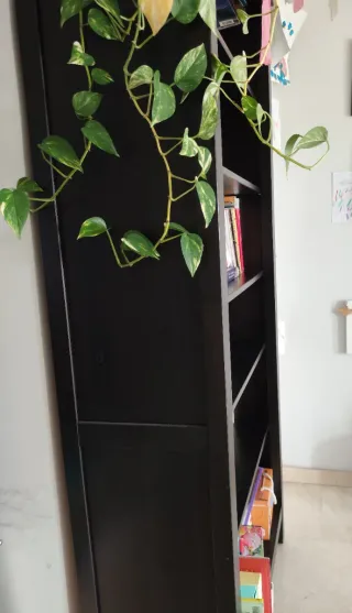 Muebles salón y librería IKEA serie Hemnes