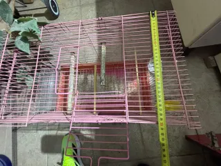 Jaula Rosa para pájaros