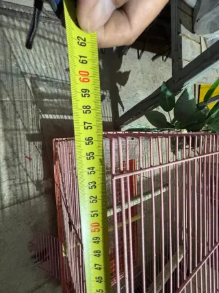 Jaula Rosa para pájaros