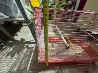 Jaula Rosa para pájaros