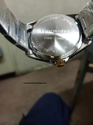 Reloj Thermidor Acero y Oro 50m