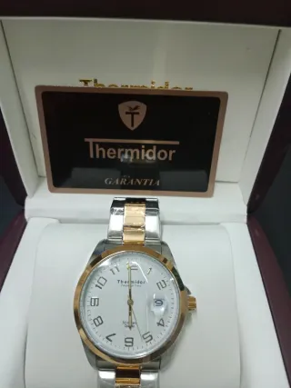 Reloj Thermidor Acero y Oro 50m