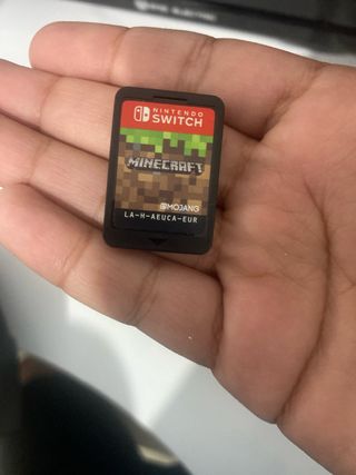 Minecraft Nintendo Switch