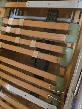 Somier motorizado Roya Rest