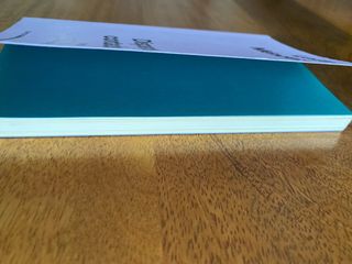 Disparos contados Leila Méndez