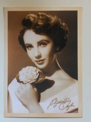 Lote 8 postales actrices Hollywood vintage