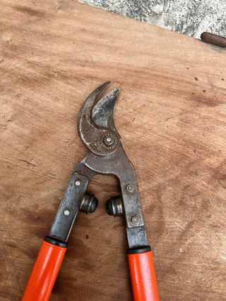 Tijeras de podar Bahco Pradines