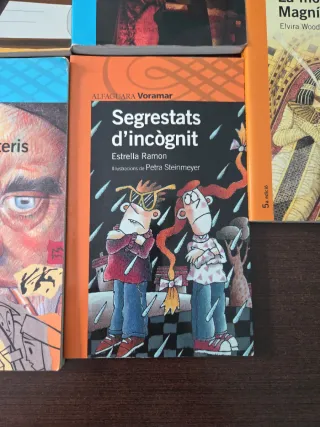 Lote de libros de bolsillo a partir de 10 años