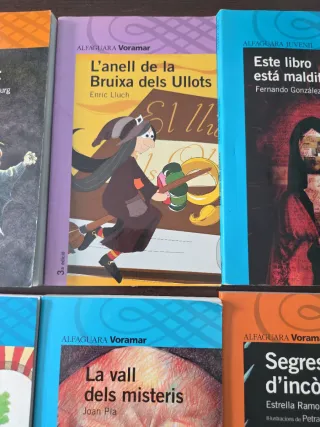 Lote de libros de bolsillo a partir de 10 años
