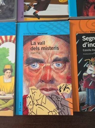 Lote de libros de bolsillo a partir de 10 años
