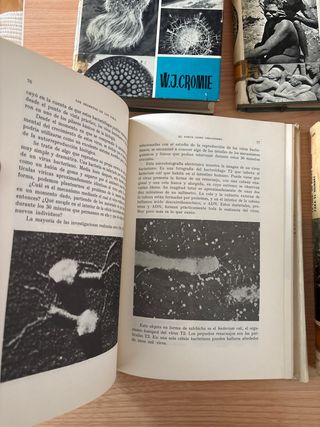 Colección libros divulgación científica año 1966