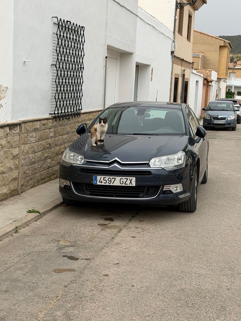 Citroen C5 2009 - foto 1